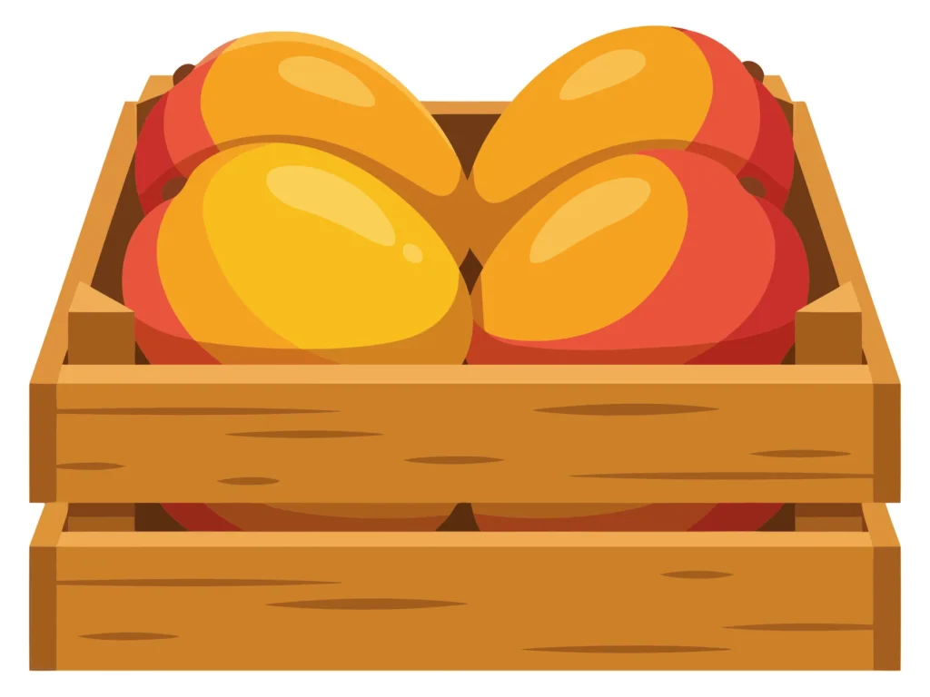 wooden crate filled with fresh ripe mangoes, vector illustration of tropical fruit in a container, harvest concept isolated on white backgro