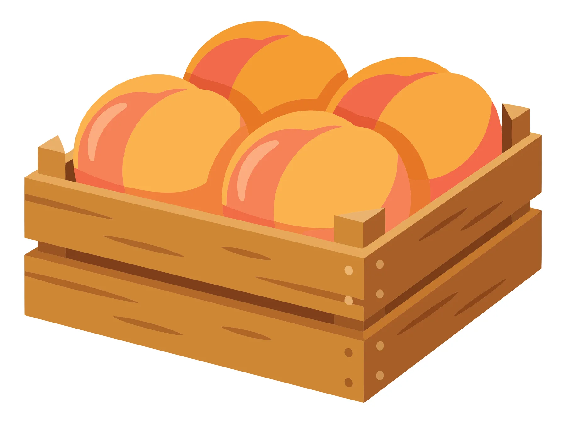 wooden crate filled with fresh ripe peaches isometric vector illustration