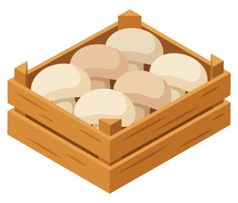 wooden crate filled with fresh white mushrooms vector illustration