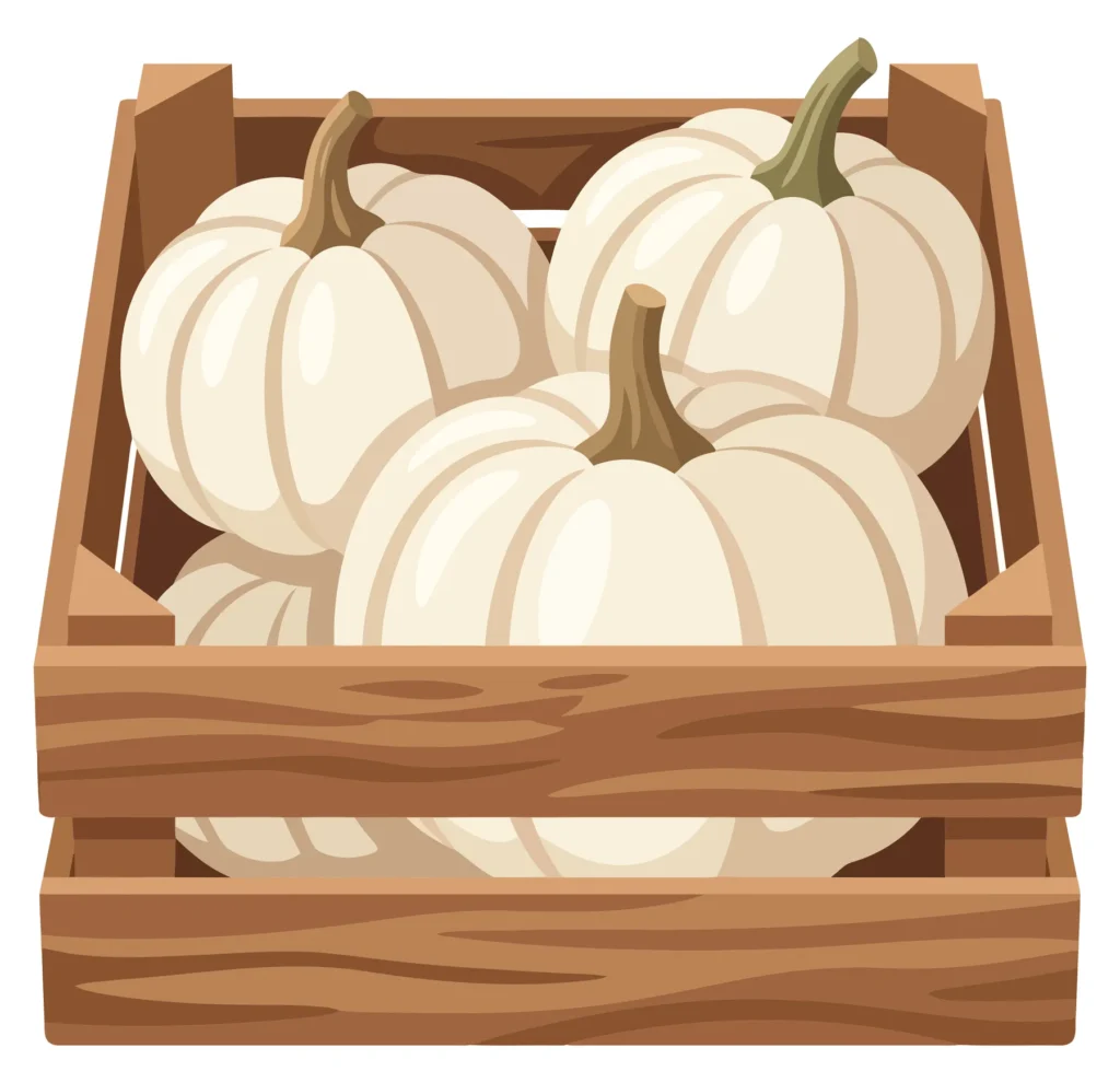 wooden crate filled with fresh white pumpkins isolated on white background