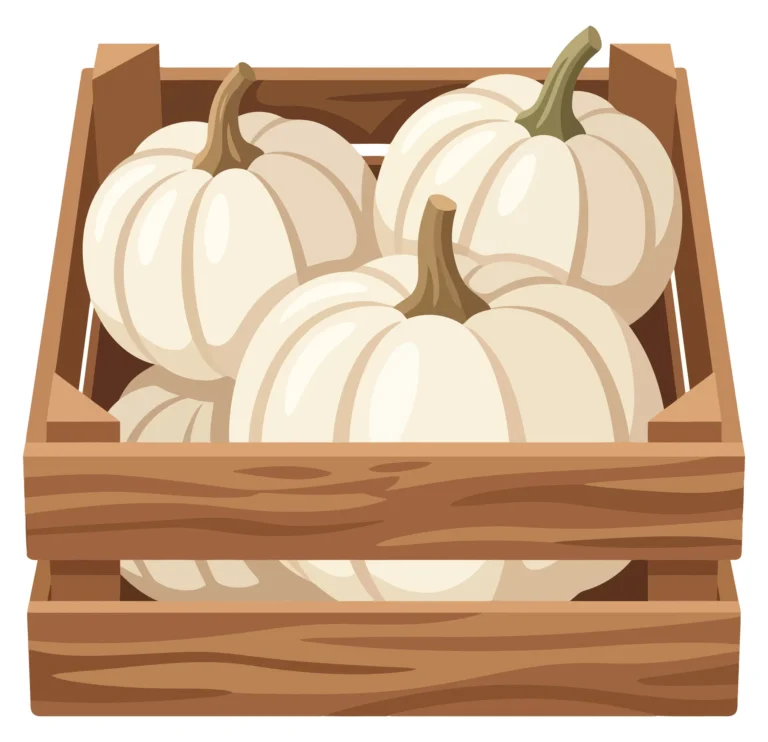 wooden crate filled with fresh white pumpkins isolated on white background