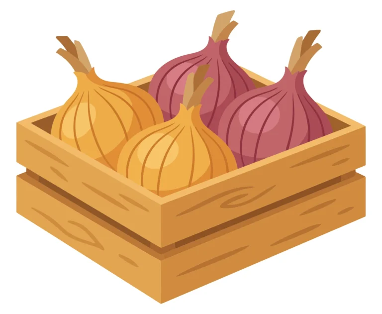 wooden crate filled with fresh yellow and red onions, farm harvest concept, organic vegetables in a box, vector illustration isolated on whi