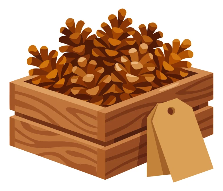 Wooden Crate with Pine Cones for Autumn Decor