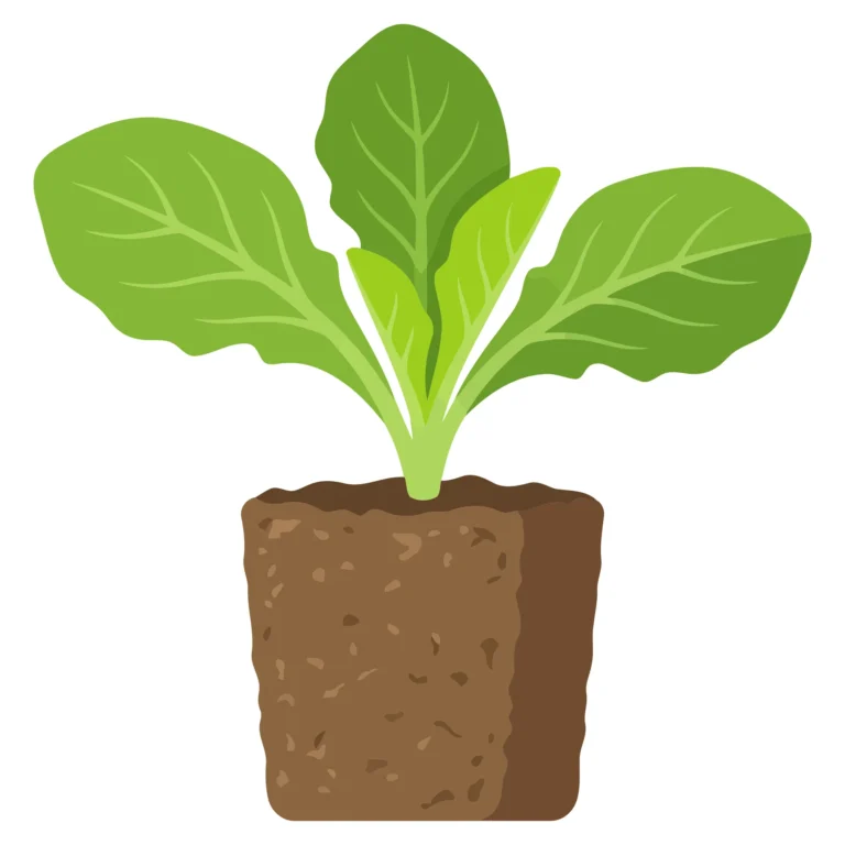 Young Green Plant Seedling Growing in Soil Block