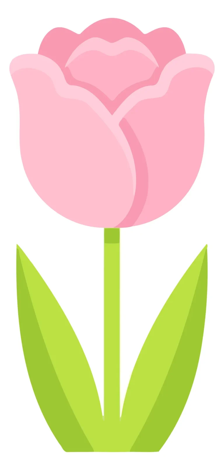 Elegant Pink Tulip Floral Vector Illustration