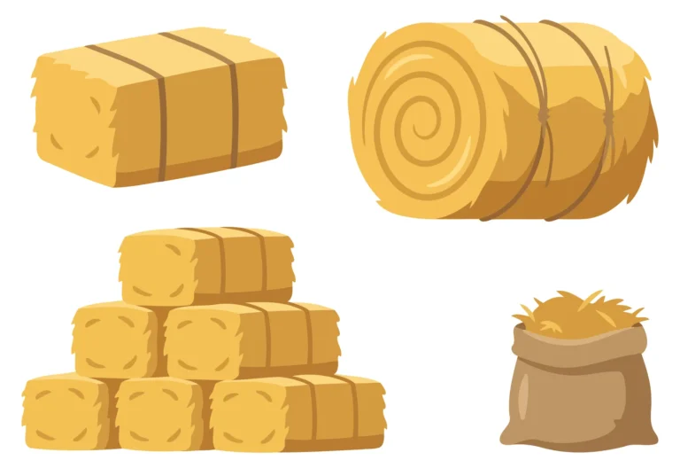 Illustrated hay bales and bale bundles in vector style