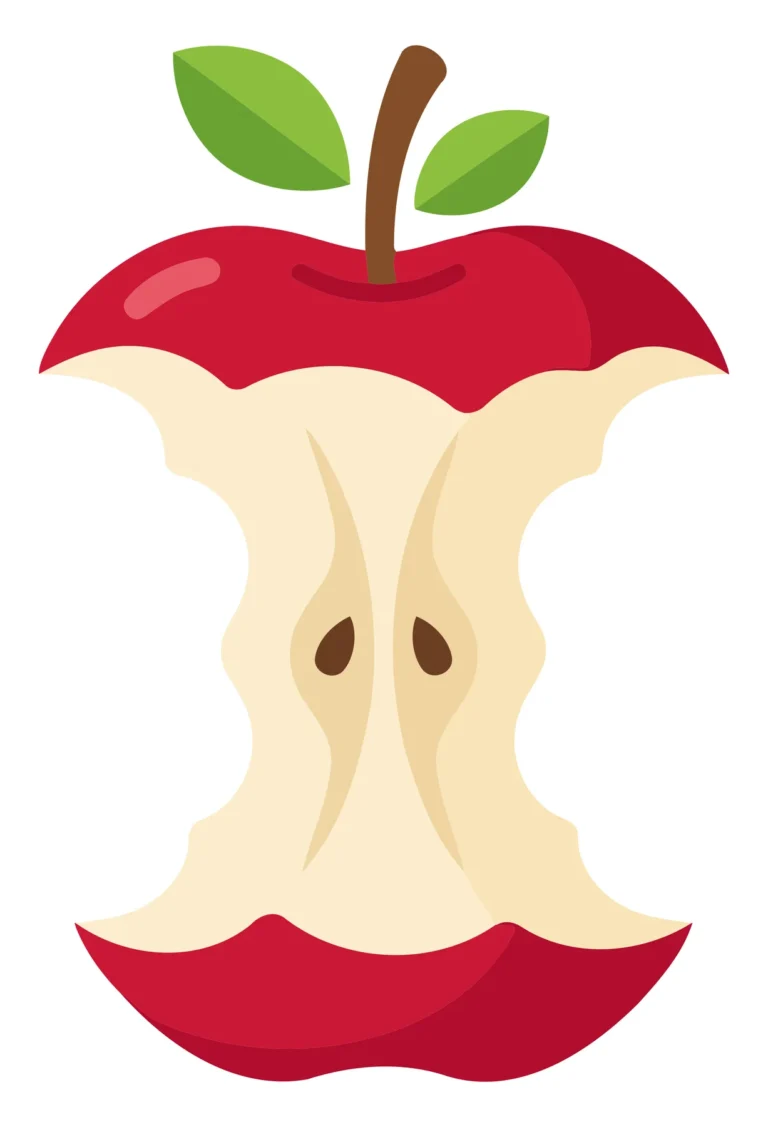Vector Apple with Halved Core and Stem Illustration