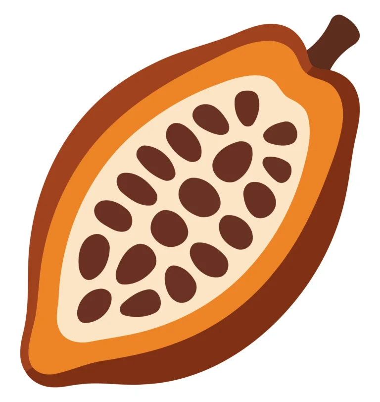 Cocoa Bean Pod Cross-Section Illustration