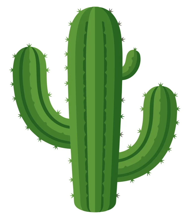 Cartoon-style green cactus illustration