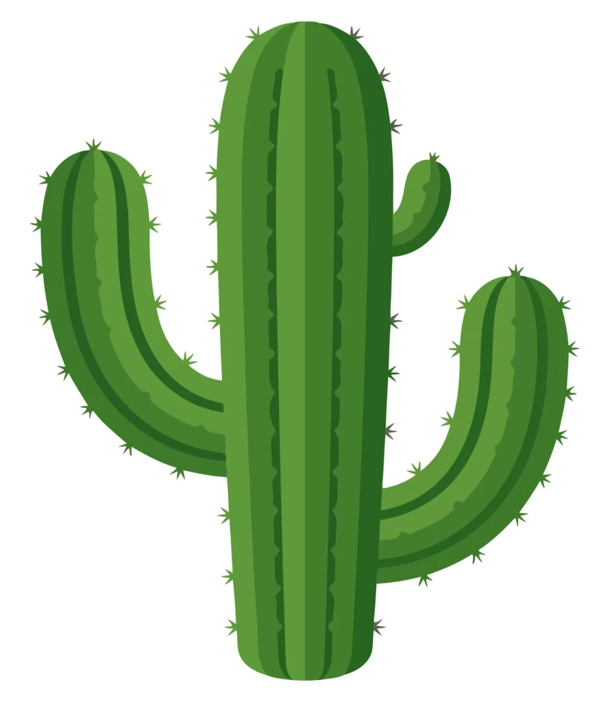 A stylized green cactus with spiky edges in a vector illustration format