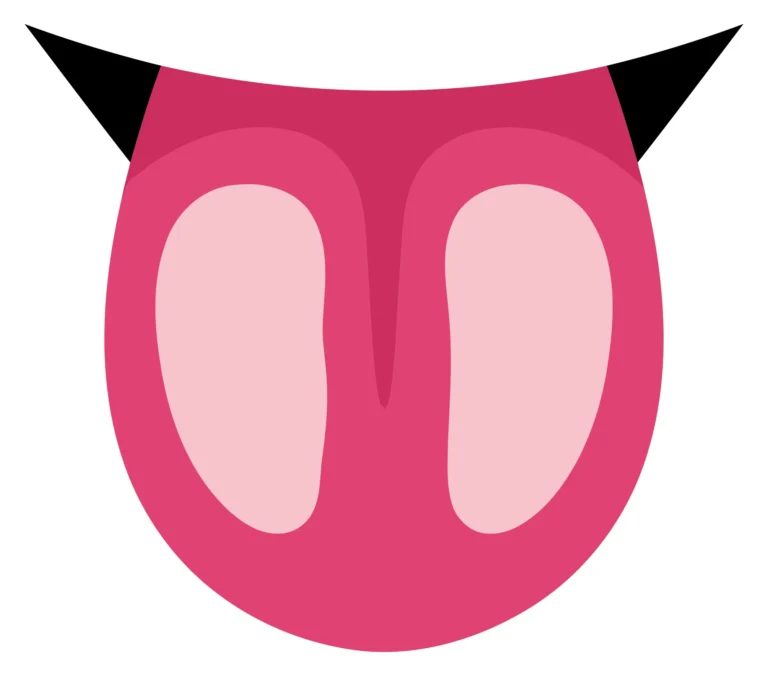 A stylized pink puku icon with gradient shading and black accents
