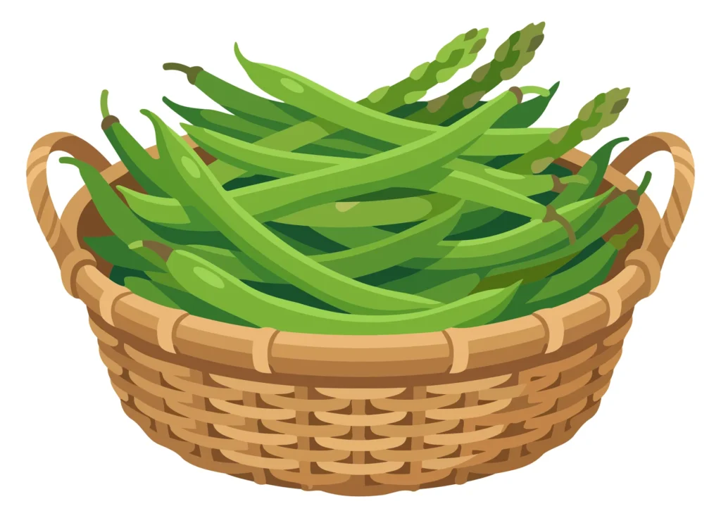 A wicker basket filled with fresh green beans in an illustration style