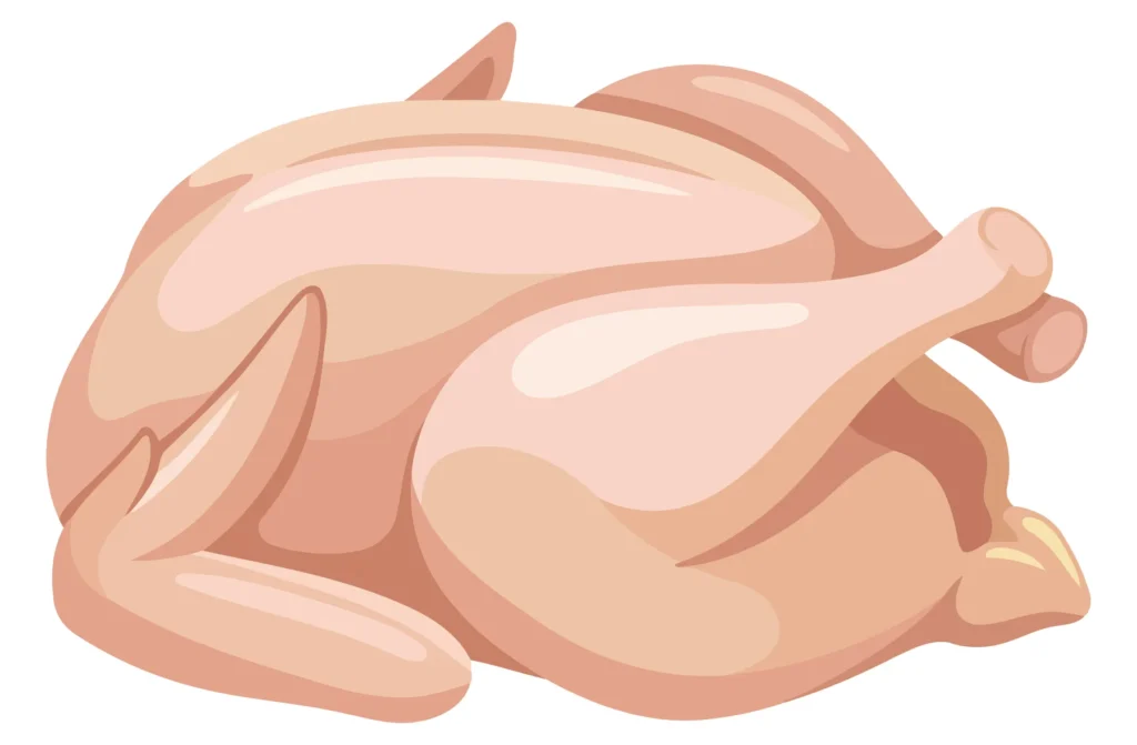 A stylized vector illustration of a roasted chicken with detailed feathers and warm lighting