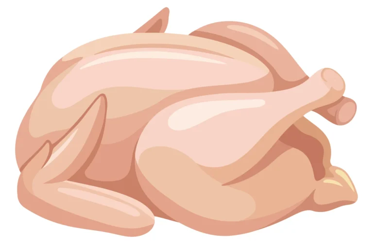 A stylized vector illustration of a roasted chicken with detailed feathers and warm lighting