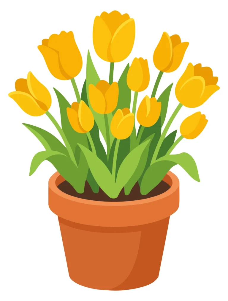 Bright yellow tulips in a terracotta pot