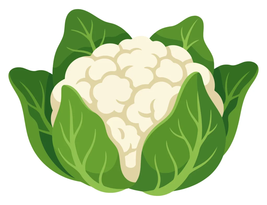 A stylized illustration of a cauliflower with green leaves