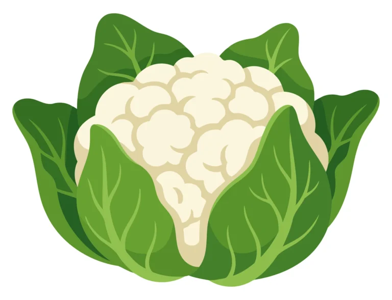 A stylized illustration of a cauliflower with green leaves