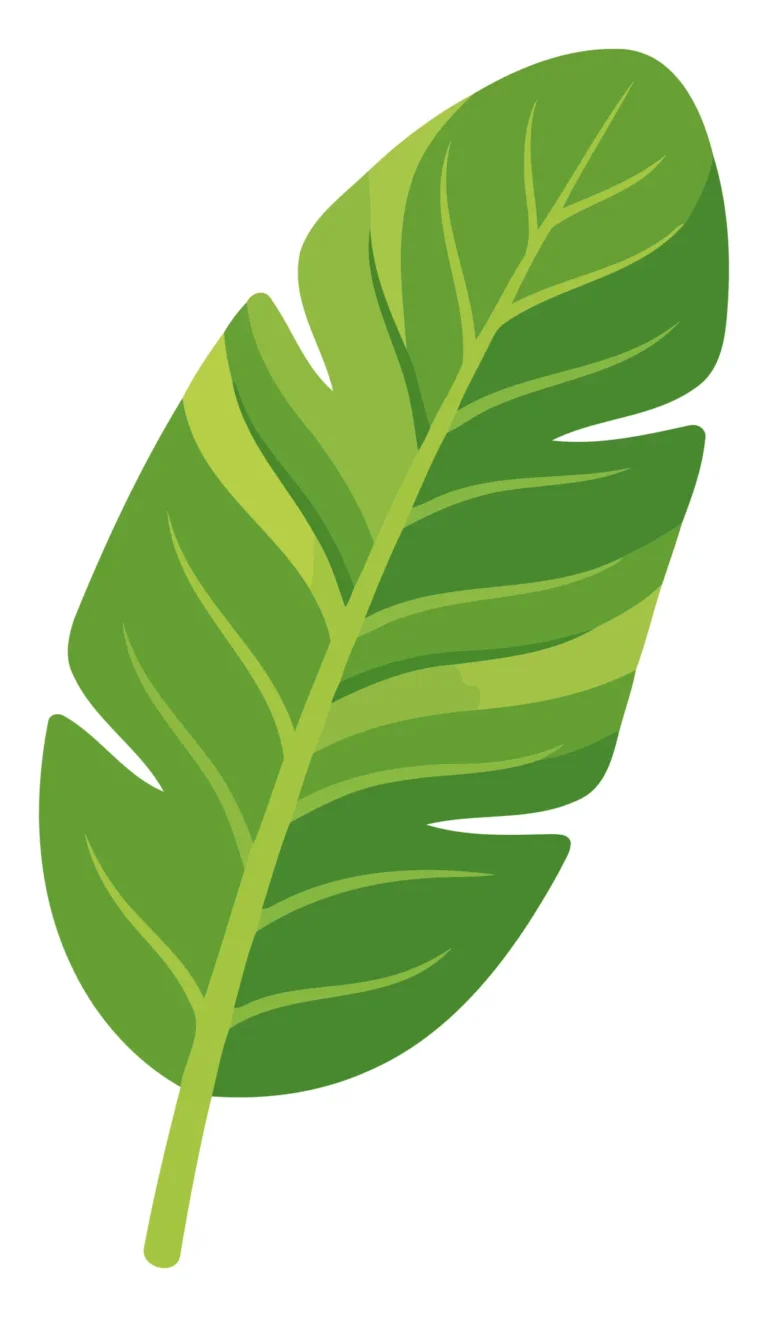 Elegant green leaf vector illustration