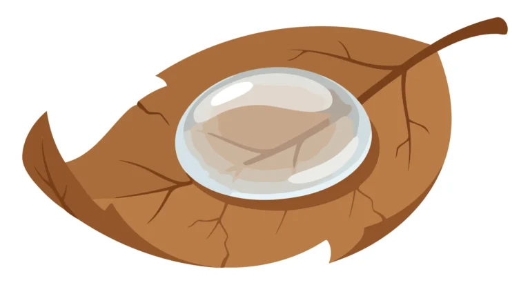 A stylized leaf with a circular design inside