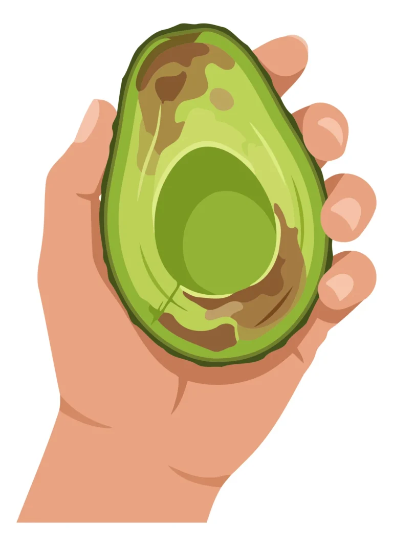 A hand holds a peeled avocado with visible seed and green flesh in a clean illustration