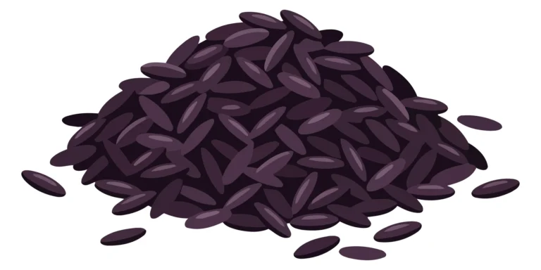 A close-up of dark purple-black seeds arranged in a natural stack