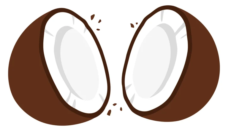 A vector illustration of a coconut split open to reveal the white kernel inside.