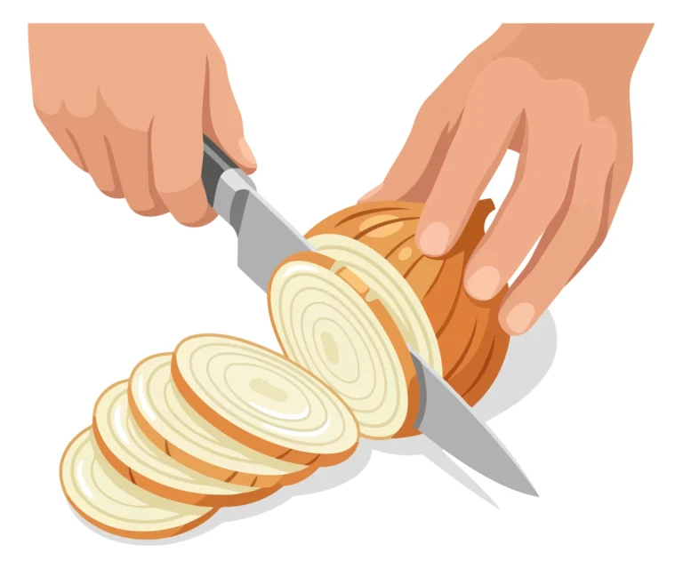 A hand slices an onion into rounds with a knife in a clean vector illustration