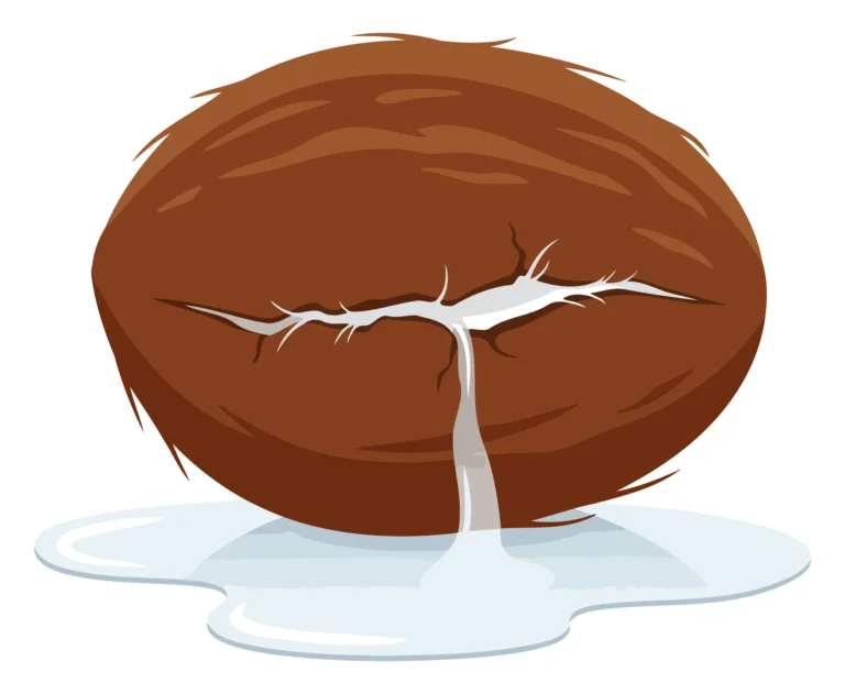 A stylized illustration of a cracked coconut with a small tree sprouting from it