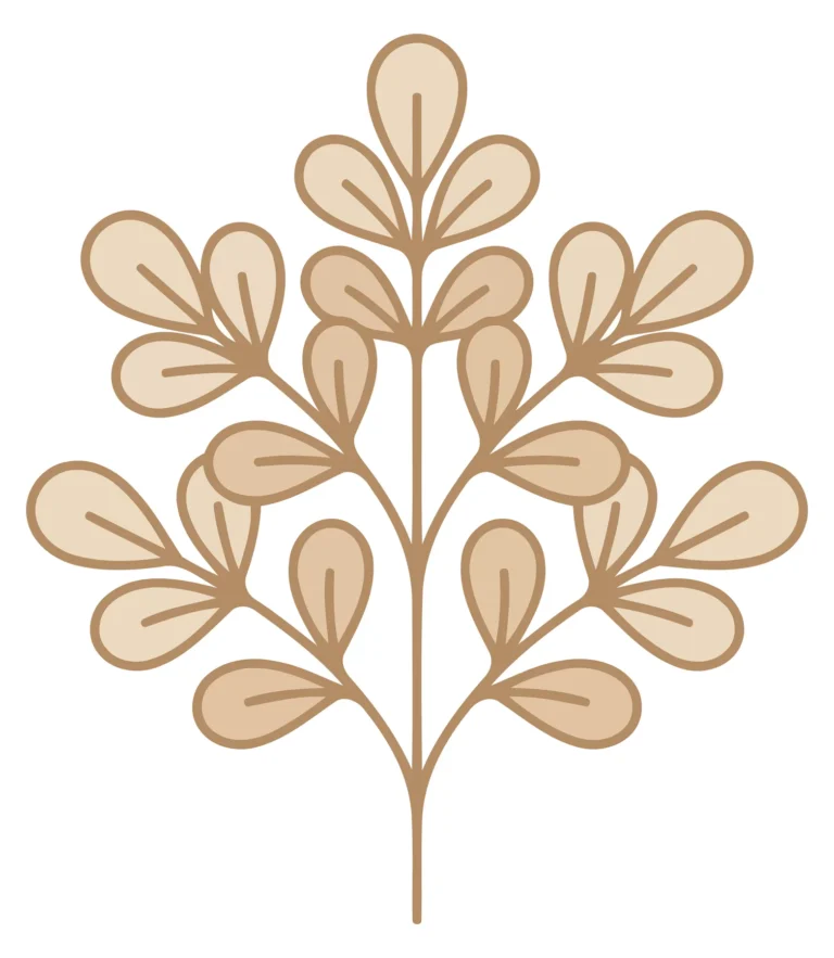A minimalist vector illustration of a leafy branch with rounded leaves in neutral tones