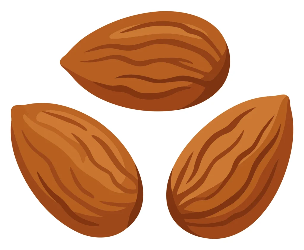 Three almond nuts illustrated with natural texture in a brown color