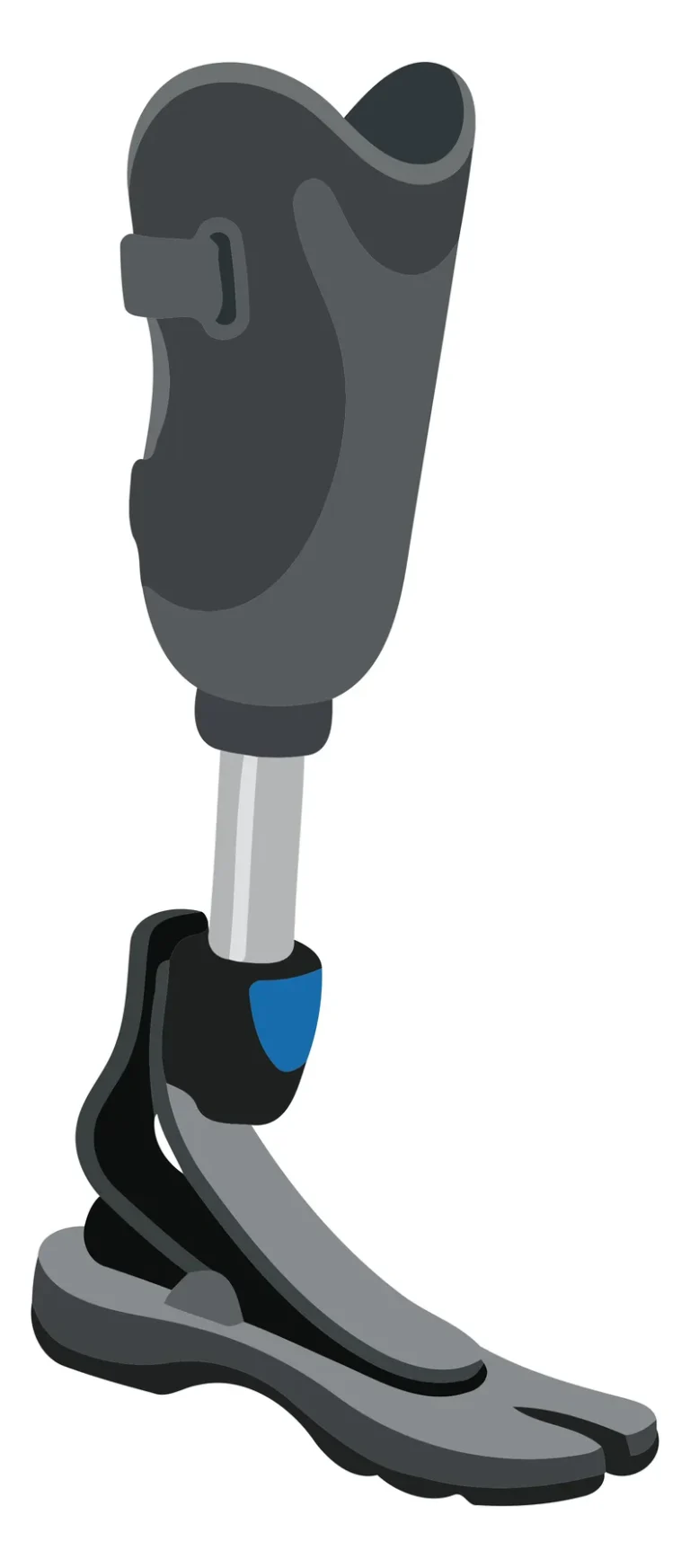 A modern prosthetic leg with a knee and ankle joint attached to a foot