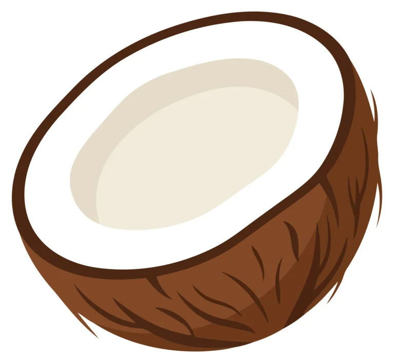 A vector illustration of a coconut with a textured shell and white interior