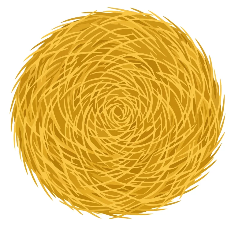 A golden spiral pattern with organic textured lines forming a circular design
