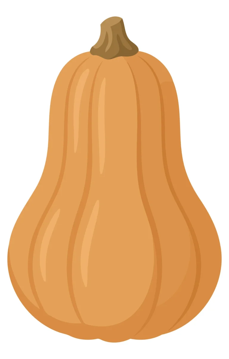 A stylized pumpkin with ribbed texture in an autumn illustration