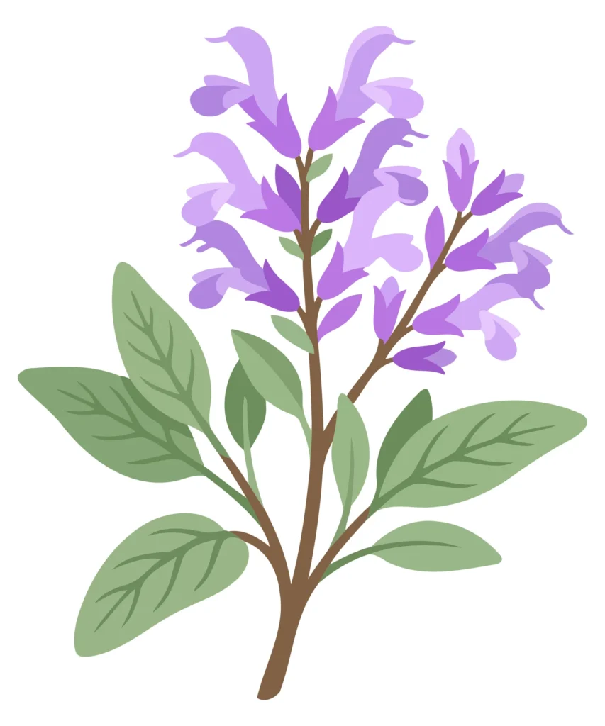 A stylized purple flowering plant with green leaves in an artistic vector illustration