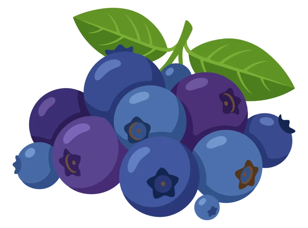 A colorful illustration of blueberries with a green leaf