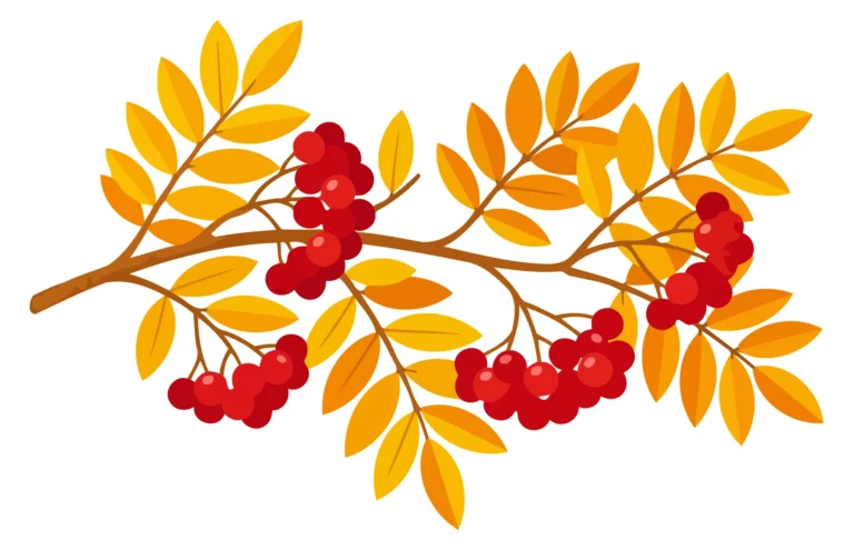 A stylized illustration of autumn leaves and red berries on a tree branch
