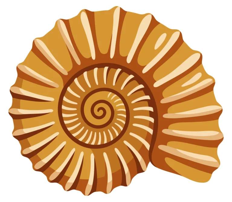 A stylized ammonite fossil shell with spiral patterns in warm tones