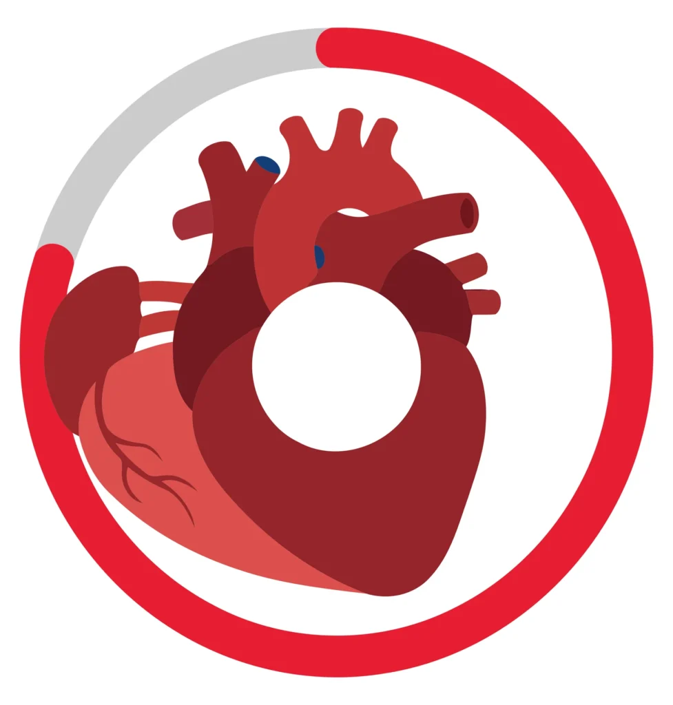 A stylized red heart with a blood vessel pathway illustration representing medical health themes