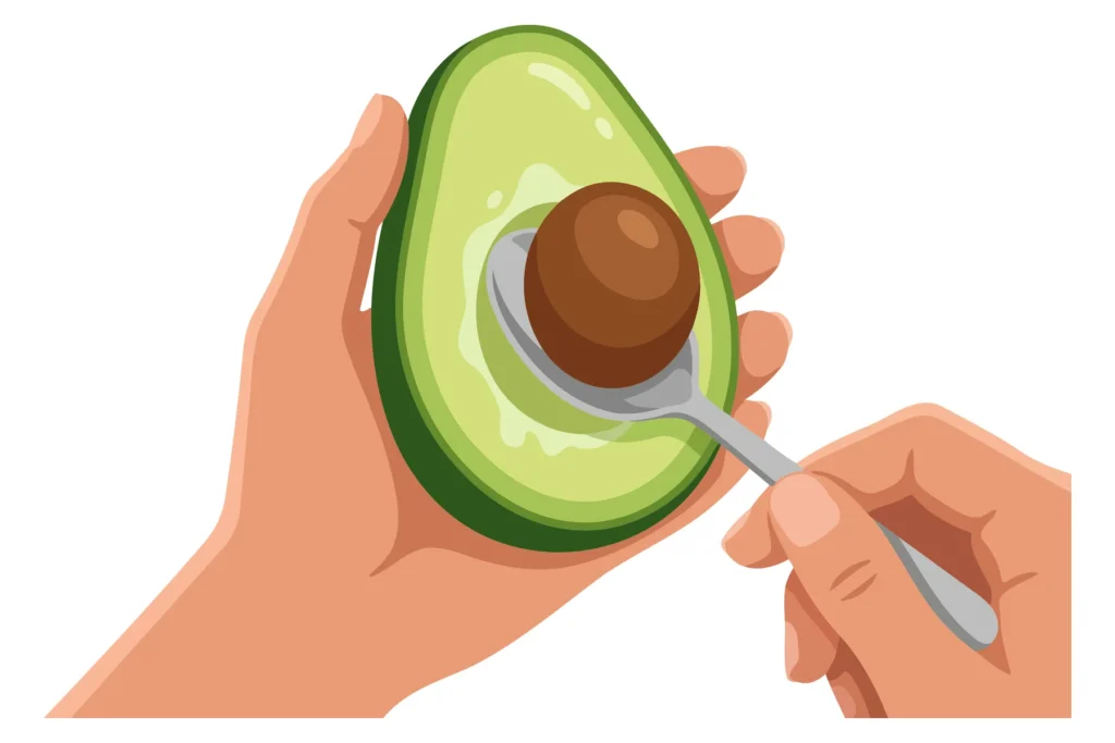A hand scoops avocado seed with a spoon in an illustration