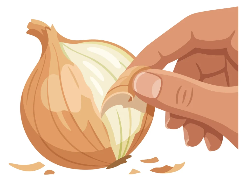 A hand peels an onion in an illustrated food vector graphic.