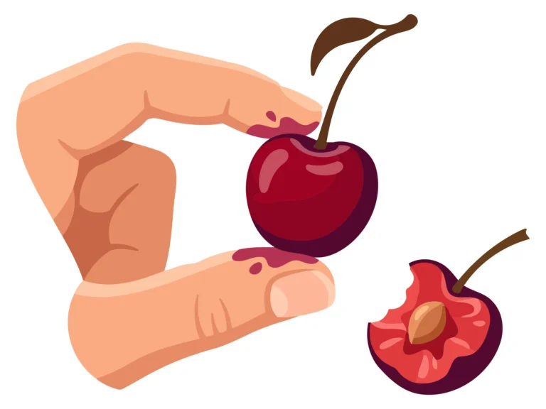 A hand holding and cutting a cherry fruit illustration