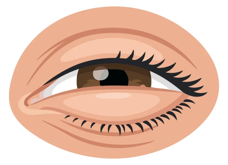 Eyebrow and Eye Illustration with Natural Skin Tone
