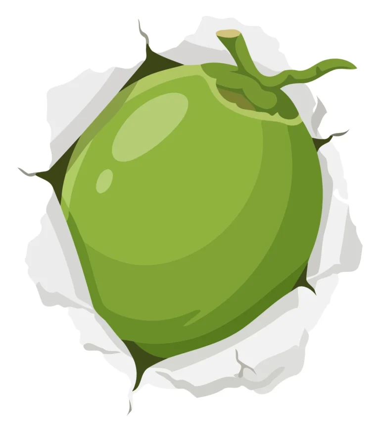 Illustrated Green Puku Fruit with Natural Texture