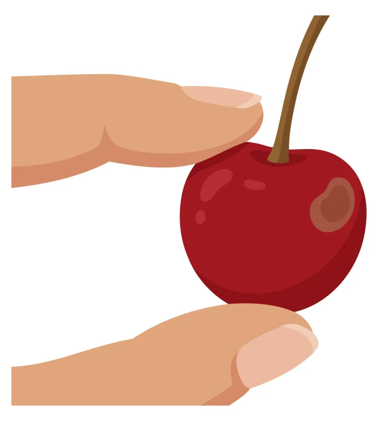 Hand holding a single red cherry with stem