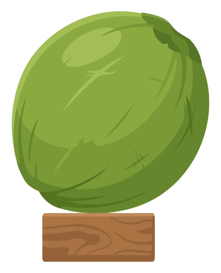 Illustrated coconut fruit on wooden base