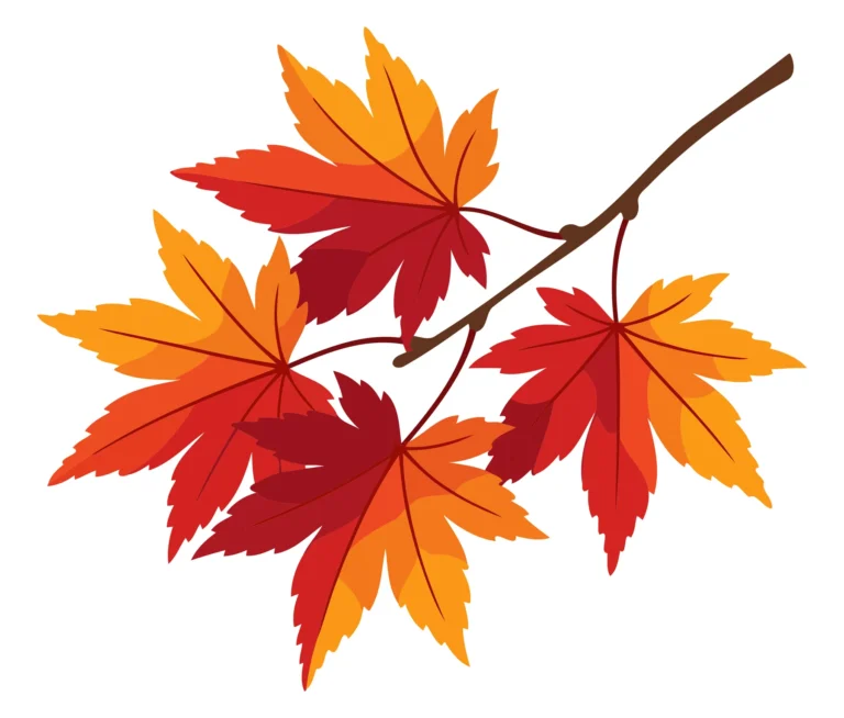 Autumn Leaf Cluster with Vibrant Colors